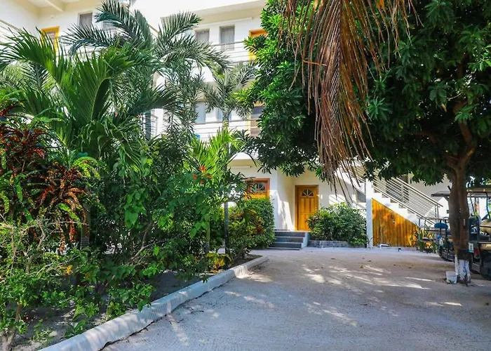 New Oceanfront W Shared Pool Dock Two Kayaks Partial Ac Wifi *